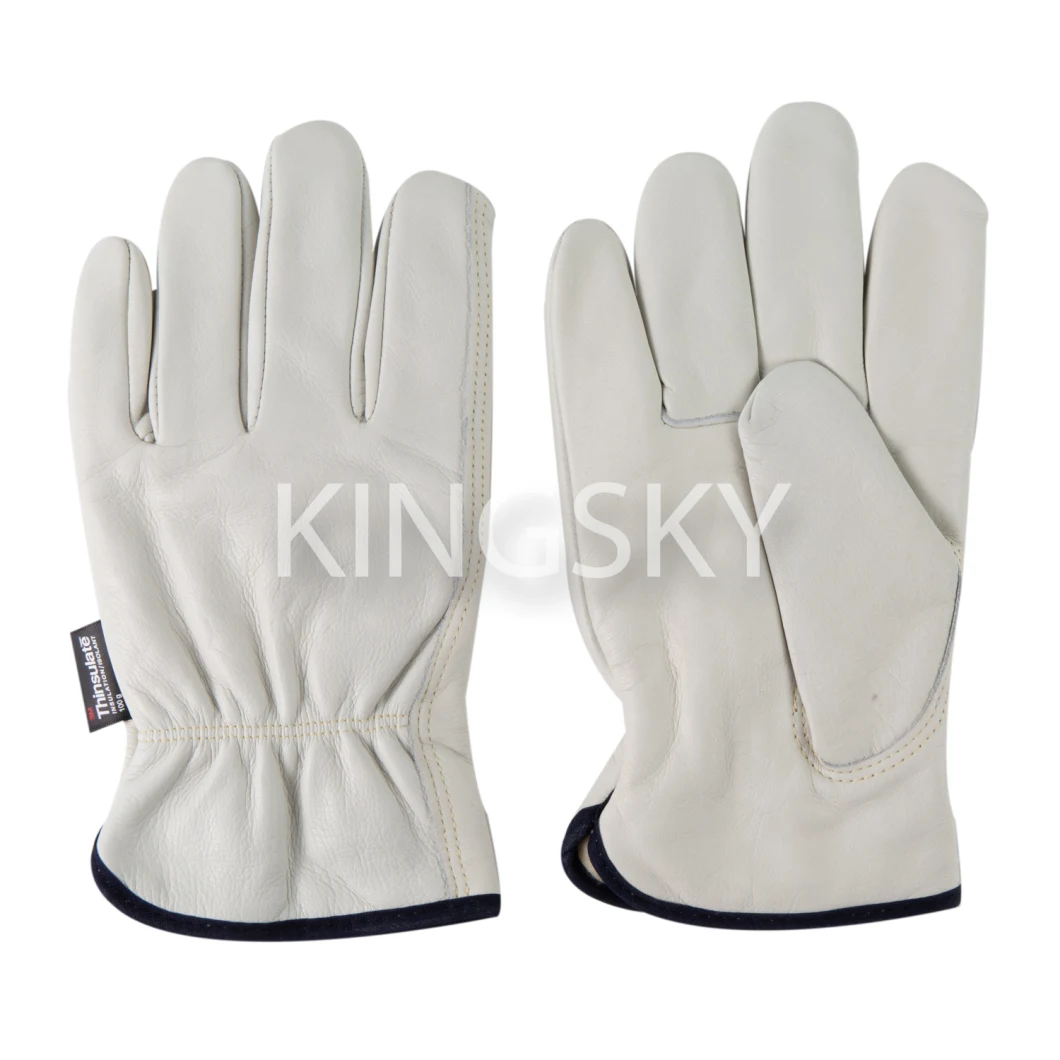 Fully Cow/Goat/Pig Leather Thinsulate C100 Lined/Unlined Driver Winter Glove Work Glove